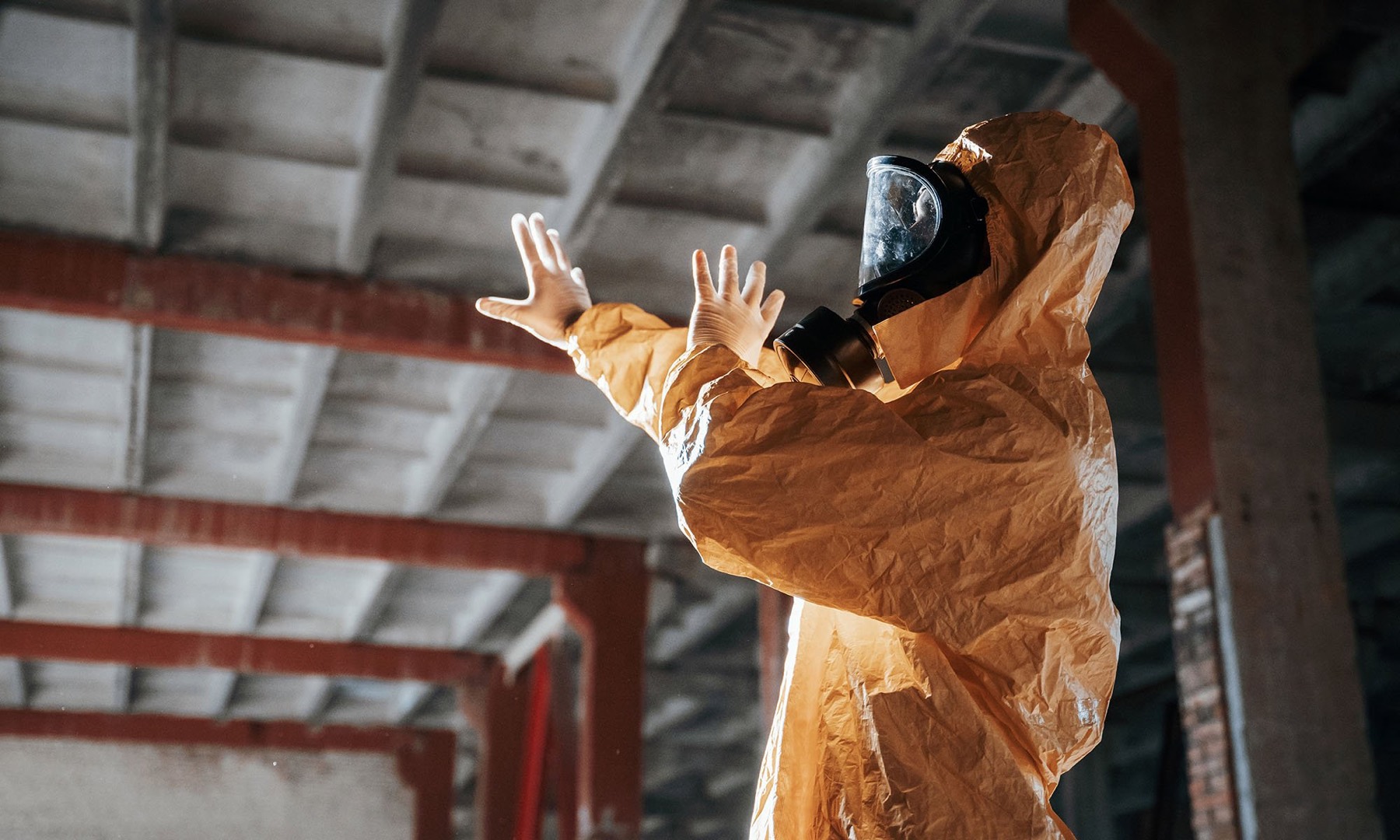 Asbestos Removal Management and Services