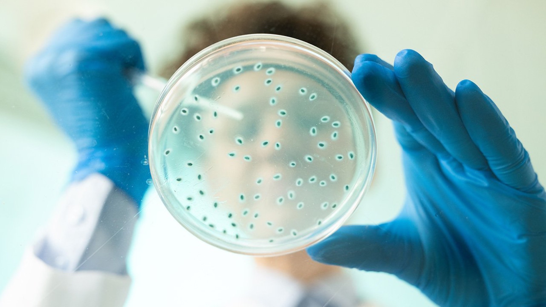 Legionella Management Services